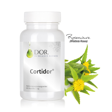 Cortidor